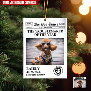 The Dog Times, The Meow Times - Troublemaker Of The Year - Personalized Acrylic Photo Ornament